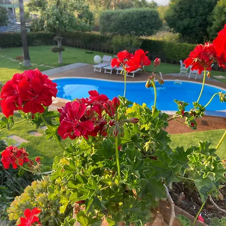 Paradise With Etna View *