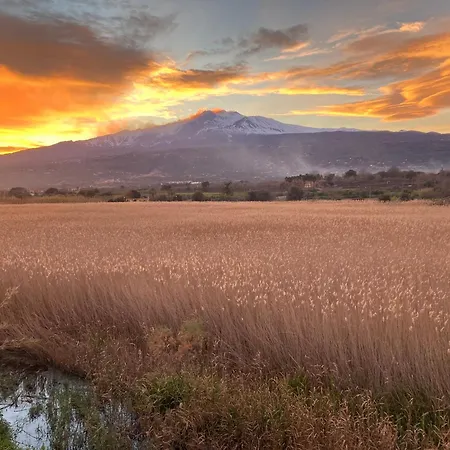 Paradise With Etna View