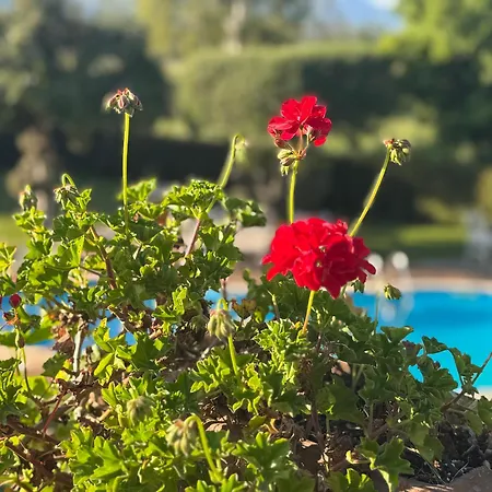 Paradise With Etna View Holiday home Mascali