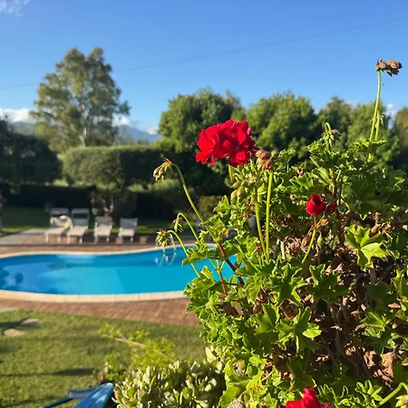 Paradise With Etna View Holiday home *