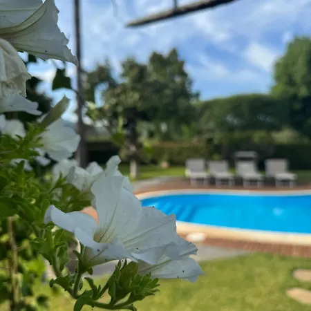Paradise With Etna View Holiday home