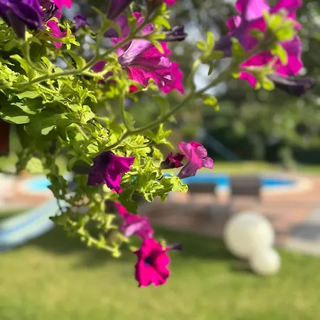 Paradise With Etna View Holiday home Mascali